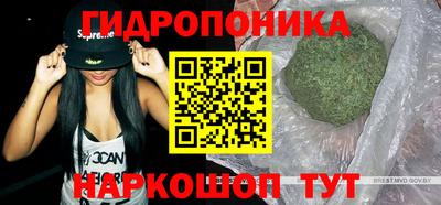 каннабис Аргун