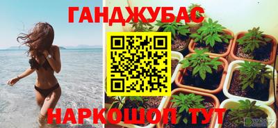 хмурый Гусь-Хрустальный