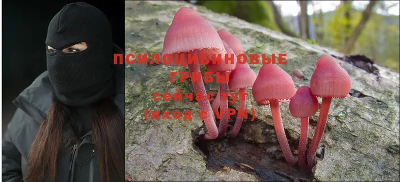 Псилоцибиновые грибы Magic Shrooms  Канаш 