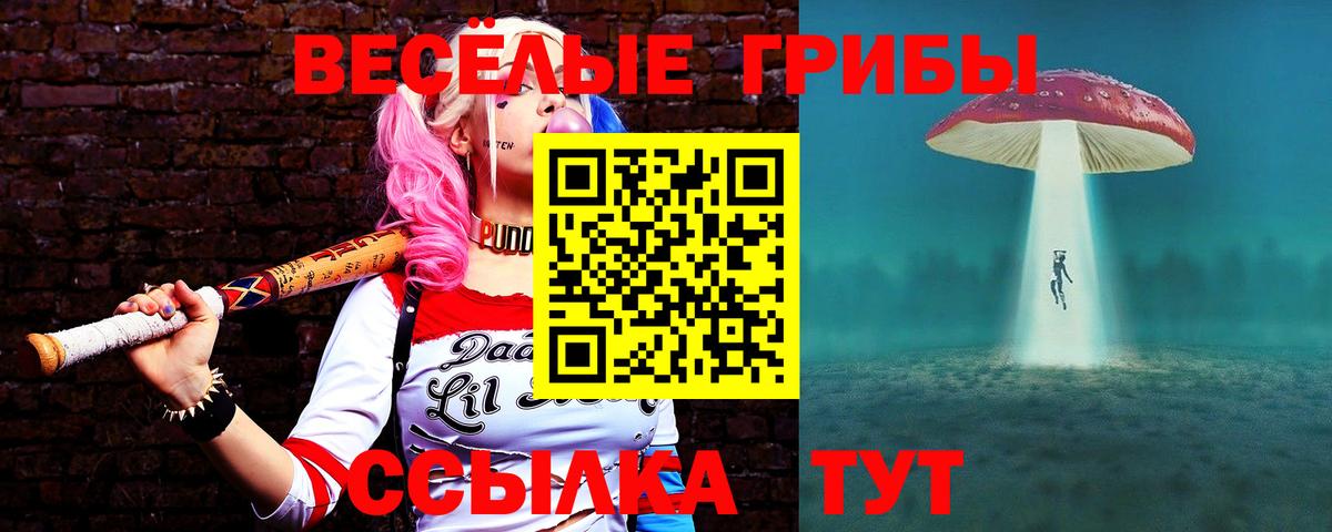 Псилоцибиновые грибы прущие грибы  закладка  Канаш  Вход с VPN 